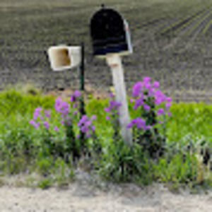 Meet your Posher, Connie